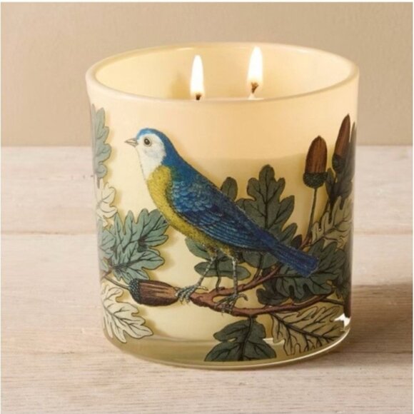John Derian Target Gold GARDEN FOREST Acorn Bird Cedar Amber Myrrh Candle NEW - Picture 1 of 6